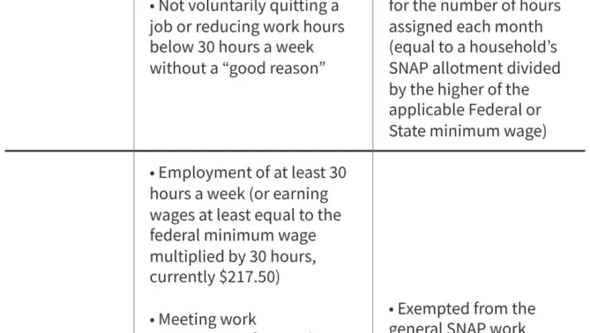 Navigating the Intersection of Work Requirements and Medical Exemptions in SNAP and Medicaid