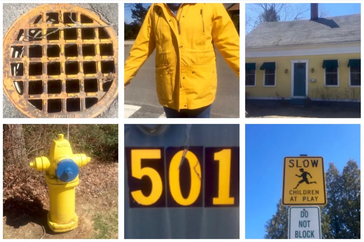 The ‘Color Walk’: How a Simple Neighborhood Scavenger Hunt Is Changing the Way We Exercise and Observe the World